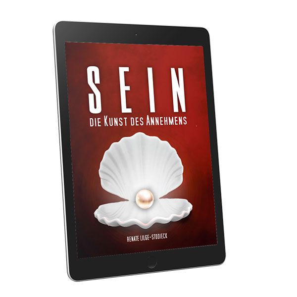 Sein - Die Kunst des Annehmens (eBook)